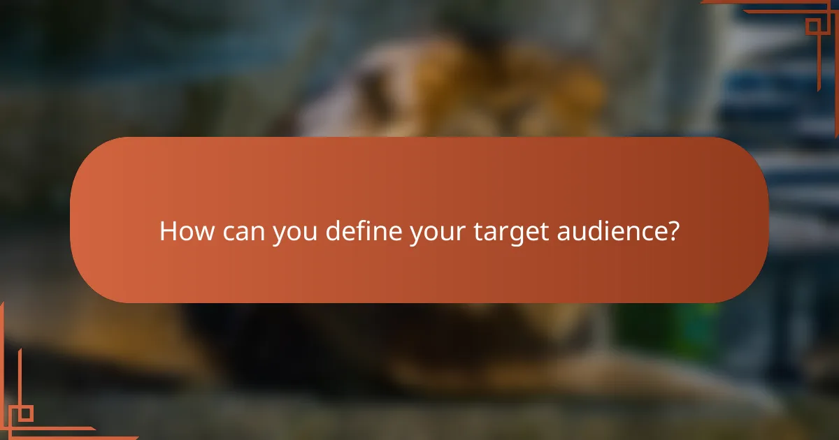 How can you define your target audience?