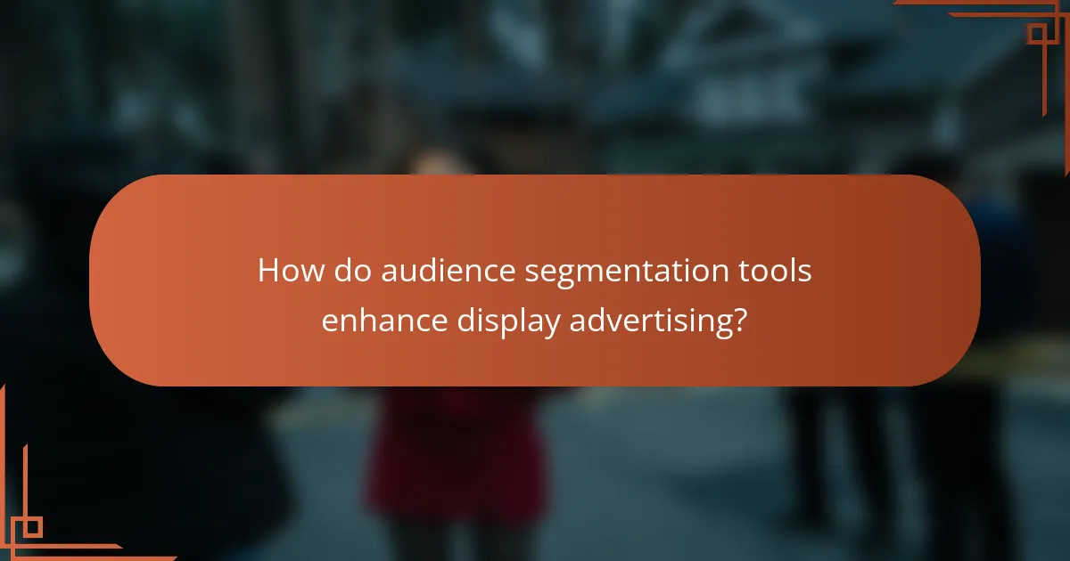 How do audience segmentation tools enhance display advertising?