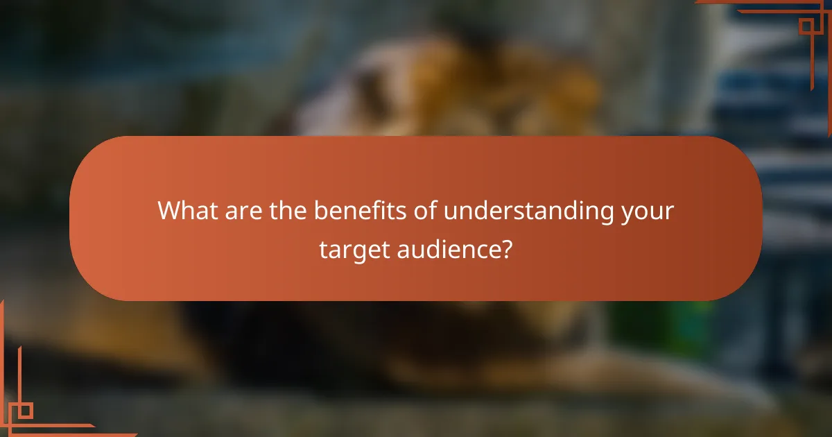 What are the benefits of understanding your target audience?