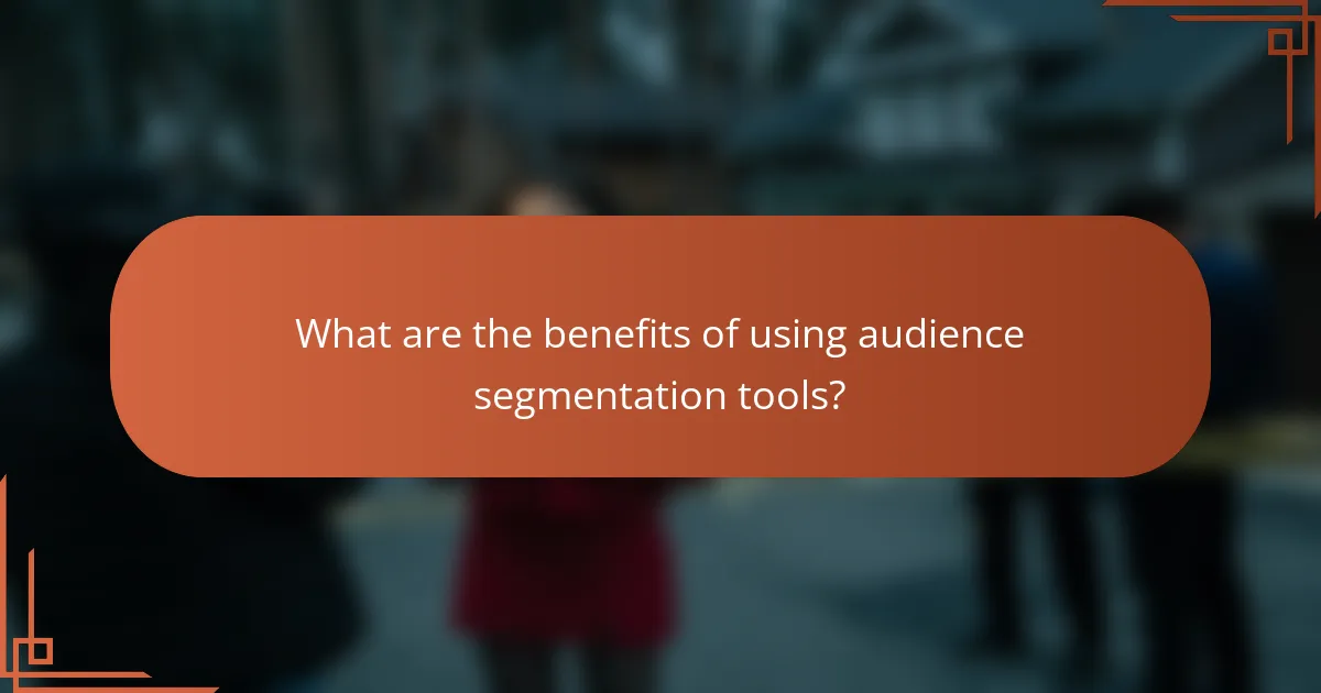What are the benefits of using audience segmentation tools?