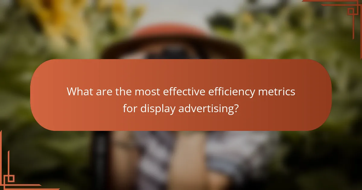 What are the most effective efficiency metrics for display advertising?