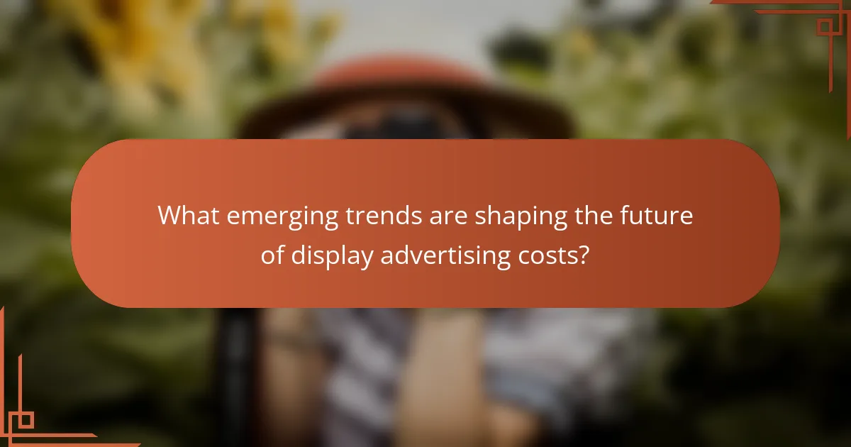 What emerging trends are shaping the future of display advertising costs?