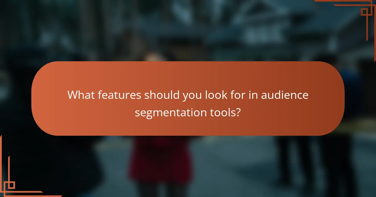What features should you look for in audience segmentation tools?