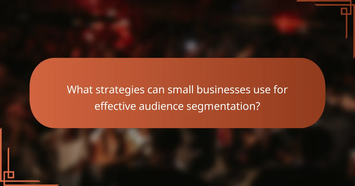 What strategies can small businesses use for effective audience segmentation?